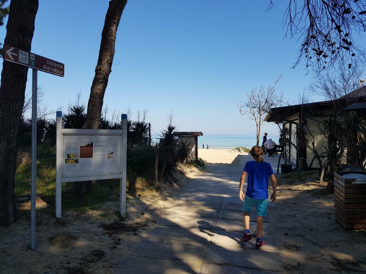 Casa Ilona Daire Pineto Dış mekan fotoğraf